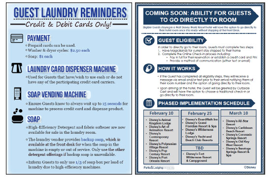 Nisbet Plantation Newsletter