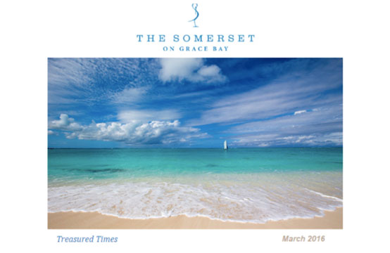 Nisbet Plantation Newsletter